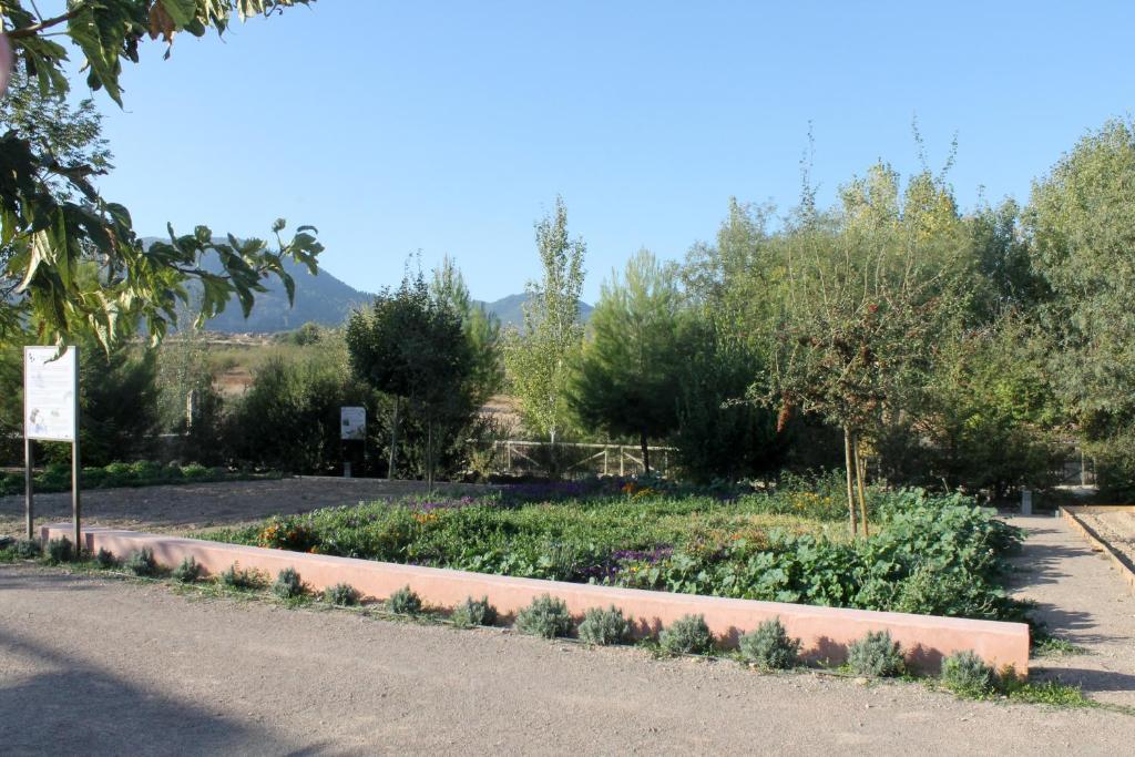 Centro De Agroecologia Y Medio Ambiente De Murcia Bullas Δωμάτιο φωτογραφία