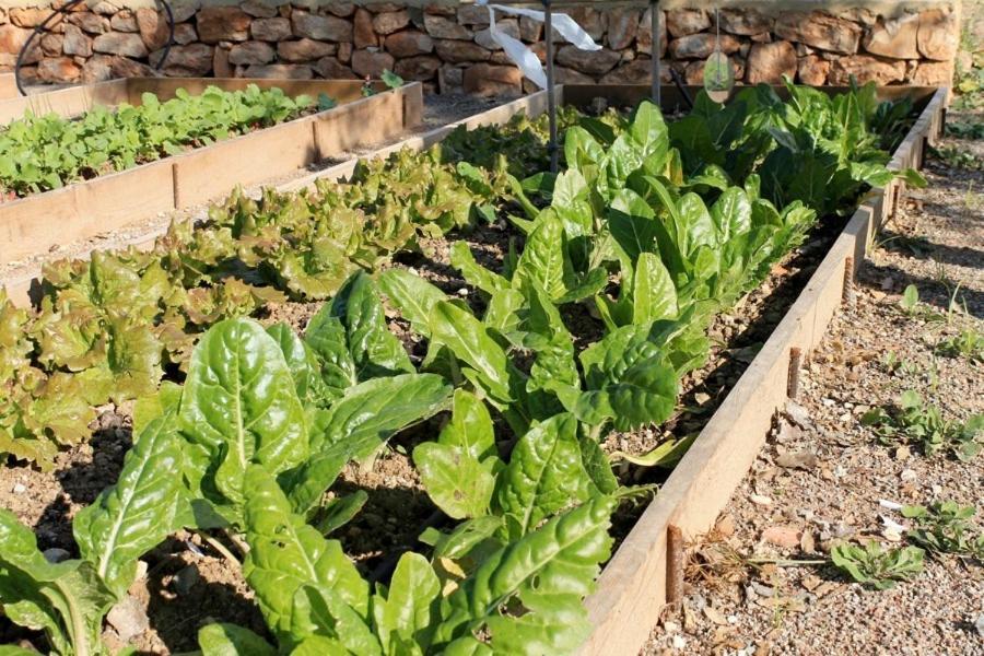 Centro De Agroecologia Y Medio Ambiente De Murcia Bullas Εξωτερικό φωτογραφία