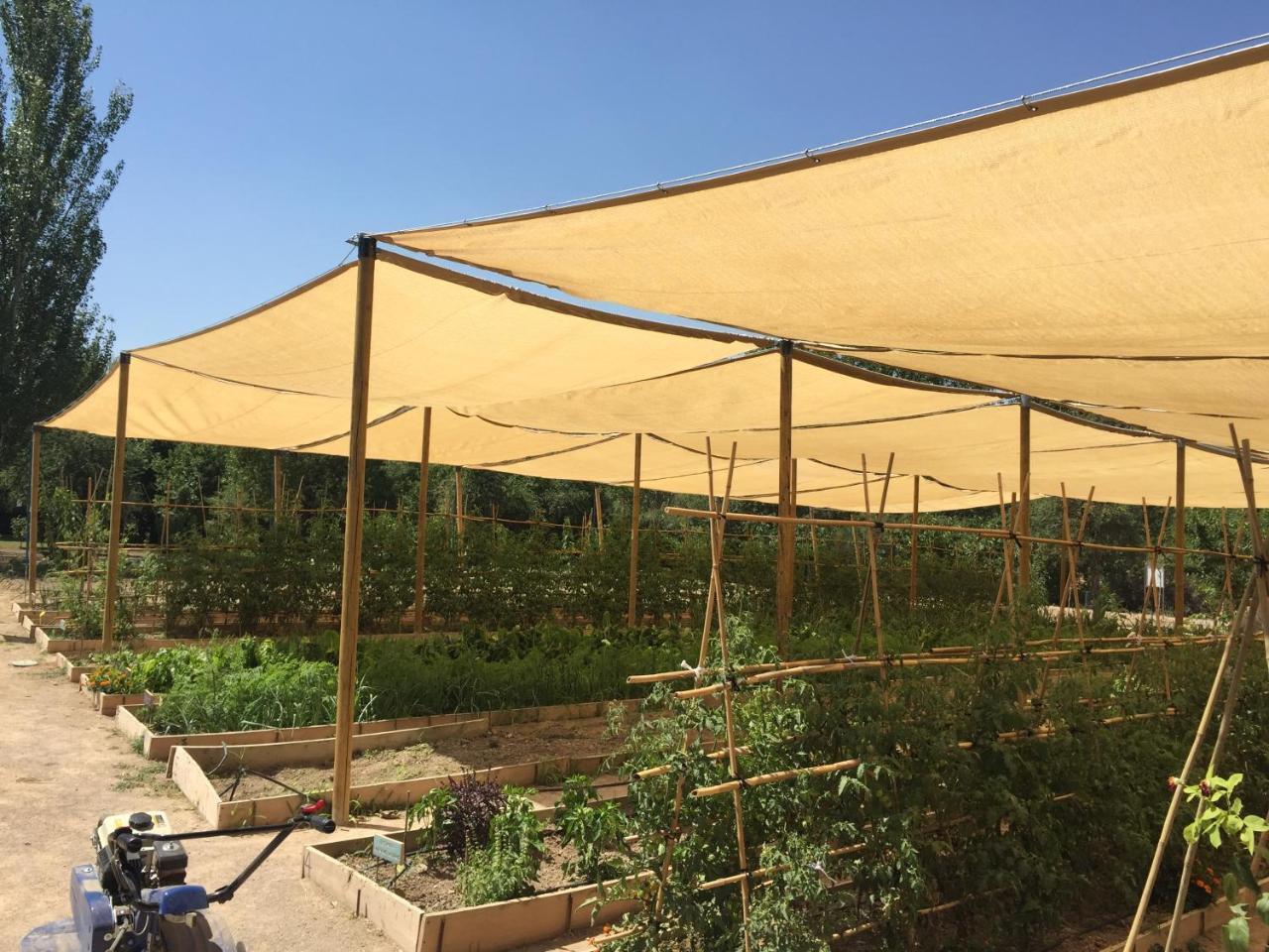 Centro De Agroecologia Y Medio Ambiente De Murcia Bullas Εξωτερικό φωτογραφία