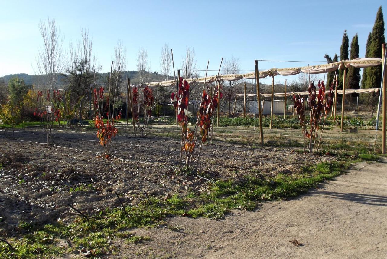 Centro De Agroecologia Y Medio Ambiente De Murcia Bullas Εξωτερικό φωτογραφία