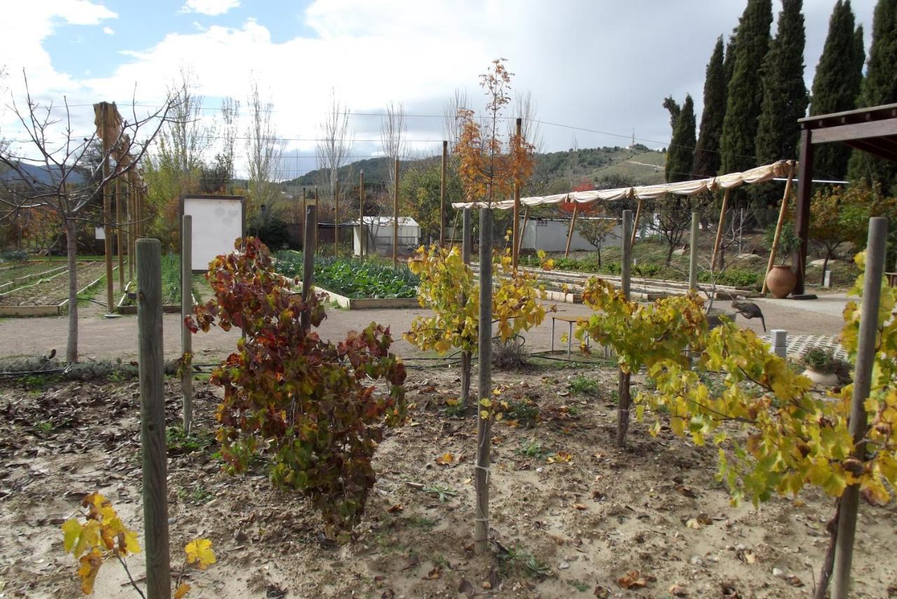 Centro De Agroecologia Y Medio Ambiente De Murcia Bullas Εξωτερικό φωτογραφία