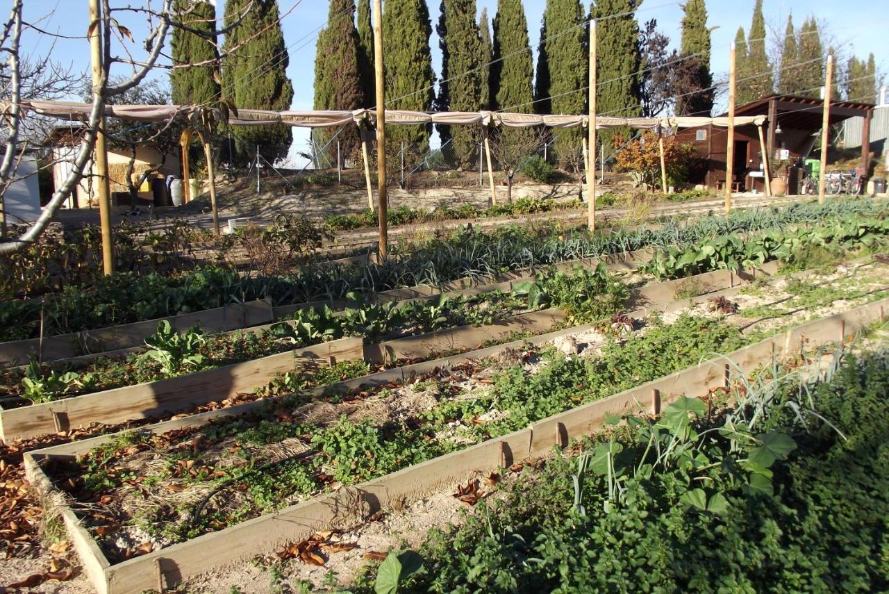 Centro De Agroecologia Y Medio Ambiente De Murcia Bullas Εξωτερικό φωτογραφία